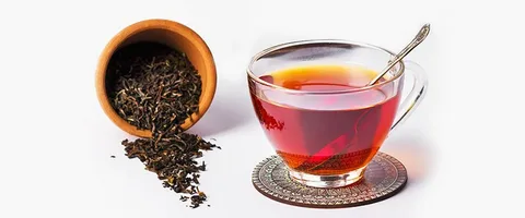 تصویر 2 از قیمت چای شمال درجه یک + قیمت باور نکردنی
